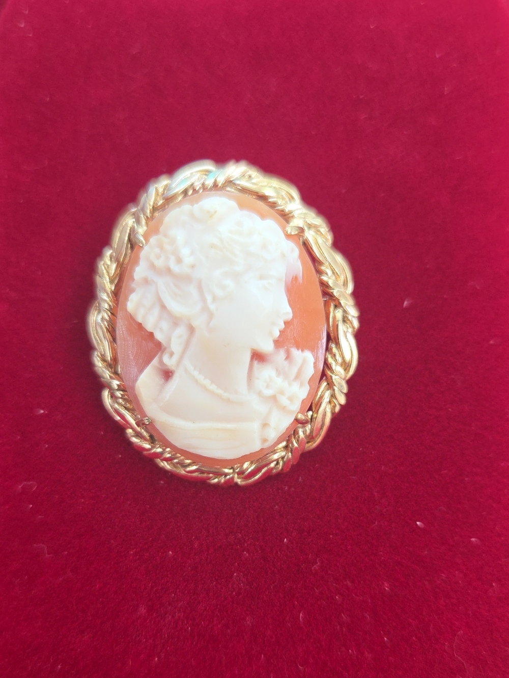 Classic Cameo Shell Carved Brooch With Gold Filled Frame